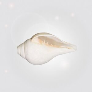 Buy Puja Item online in USA. Puja Samagari Online store in USA